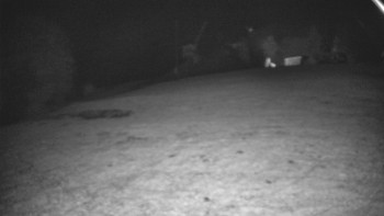 Snímek    28.10.2025 v 00:25