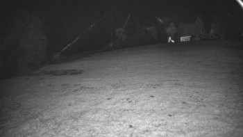 Snímek    28.10.2025 v 00:40
