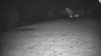 Snímek    28.10.2025 v 01:02