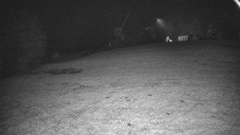 Snímek    28.10.2025 v 01:40