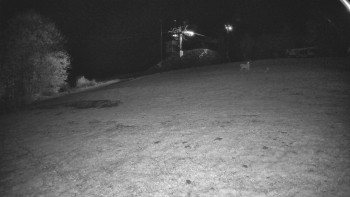 Snímek    28.10.2025 v 23:10