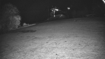 Snímek    28.10.2025 v 23:25