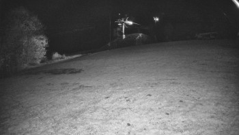 Snímek    29.10.2025 v 01:20