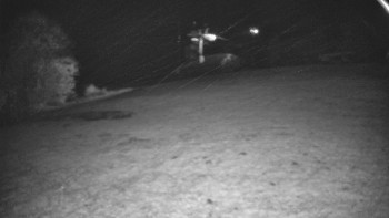 Snímek    29.10.2025 v 02:50