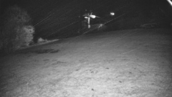 Snímek    29.10.2025 v 02:55