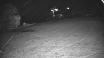 Snímek    29.10.2025 v 03:35