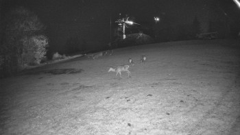 Snímek    29.10.2025 v 18:45