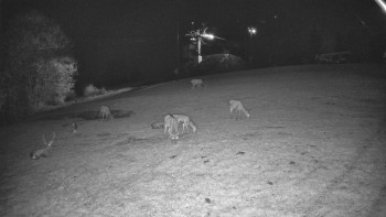 Snímek    29.10.2025 v 20:10