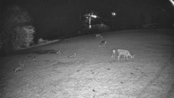 Snímek    29.10.2025 v 20:15