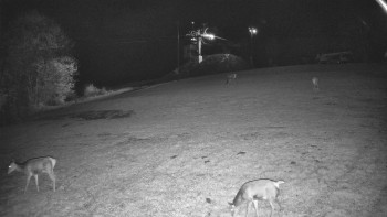 Snímek    29.10.2025 v 21:55