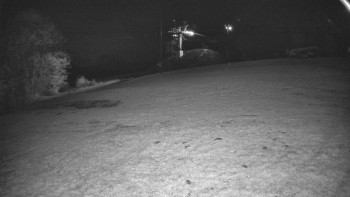 Snímek    30.10.2025 v 04:55