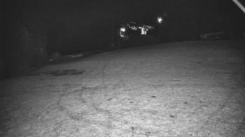 Snímek    1.11.2025 v 02:32