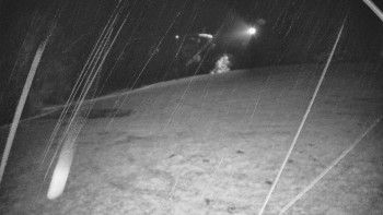 Snímek    3.11.2025 v 01:50