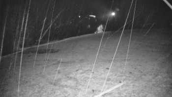 Snímek    3.11.2025 v 02:10