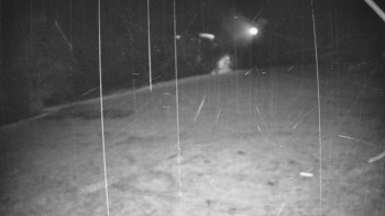 Snímek    3.11.2025 v 04:35