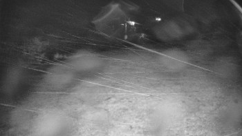 Snímek    3.11.2025 v 17:45