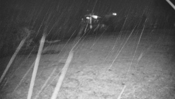 Snímek    3.11.2025 v 20:15