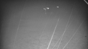 Snímek    3.11.2025 v 20:25