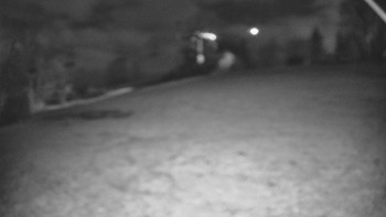 Snímek    4.11.2025 v 00:50