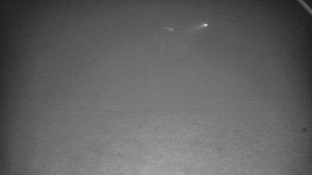 Snímek    4.11.2025 v 02:25