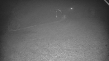 Snímek 9.11.2025 v 05:32