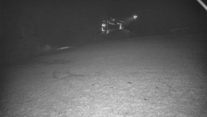 Skiareál Karolinka - Otočná kamera na sjezdovce - 14.11.2025 v 01:40 Skiareál Karolinka - Otočná kamera na sjezdovce - 14.11.2025 v 01:40