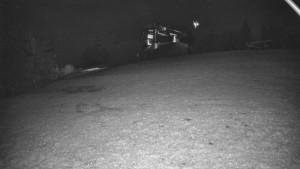 Skiareál Karolinka - Otočná kamera na sjezdovce - 14.11.2025 v 04:35 Skiareál Karolinka - Otočná kamera na sjezdovce - 14.11.2025 v 04:35