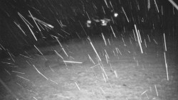 Otočná kamera na sjezdovce