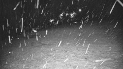 Otočná kamera na sjezdovce