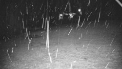 Otočná kamera na sjezdovce