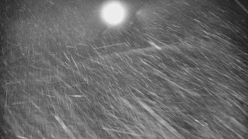 Snímek 19.11.2025 v 01:55