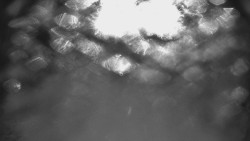 Otočná kamera na sjezdovce