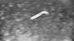 Otočná kamera na sjezdovce