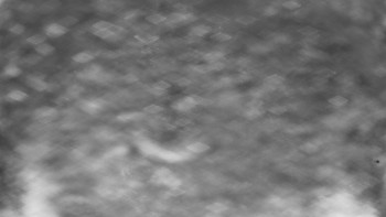 Snímek 22.11.2025 v 05:55