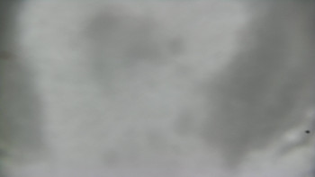 Snímek 23.11.2025 v 07:10