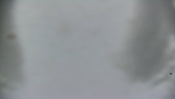 Snímek 24.11.2025 v 09:10