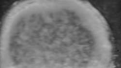 Otočná kamera na sjezdovce