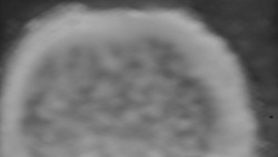 Otočná kamera na sjezdovce