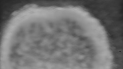 Otočná kamera na sjezdovce