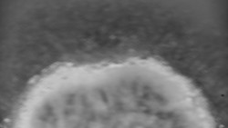 Otočná kamera na sjezdovce