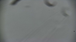 Otočná kamera na sjezdovce