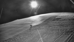 Skiareál Karolinka - Otočná kamera na sjezdovce - 5.12.2025 v 03:32 Skiareál Karolinka - Otočná kamera na sjezdovce - 5.12.2025 v 03:32