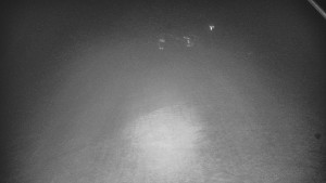 Skiareál Karolinka - Otočná kamera na sjezdovce - 11.12.2025 v 04:32 Skiareál Karolinka - Otočná kamera na sjezdovce - 11.12.2025 v 04:32