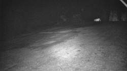 Otočná kamera na sjezdovce