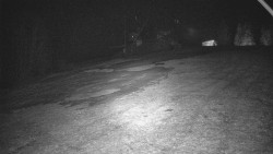 Otočná kamera na sjezdovce