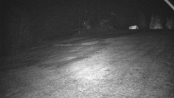 Otočná kamera na sjezdovce