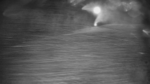 Skiareál Karolinka - Otočná kamera na sjezdovce - 25.12.2025 v 00:20 Skiareál Karolinka - Otočná kamera na sjezdovce - 25.12.2025 v 00:20