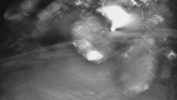 Otočná kamera na sjezdovce