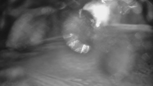 Skiareál Karolinka - Otočná kamera na sjezdovce - 25.12.2025 v 02:32 Skiareál Karolinka - Otočná kamera na sjezdovce - 25.12.2025 v 02:32