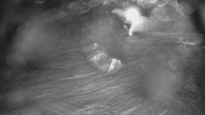 Skiareál Karolinka - Otočná kamera na sjezdovce - 25.12.2025 v 02:35 Skiareál Karolinka - Otočná kamera na sjezdovce - 25.12.2025 v 02:35